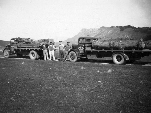 People next to logging truck
