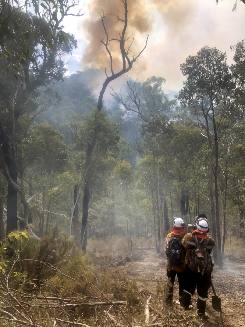 Licola Complex Spot fire Alpine NP Victoria 2019v2